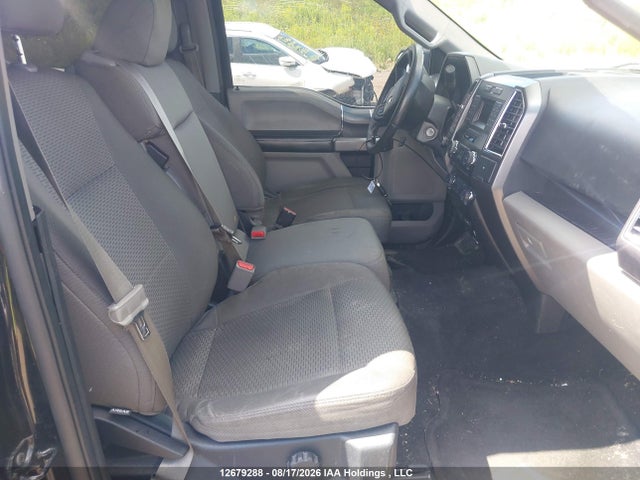 1FTEW1EPXFFB35542 Ford F-150 Xlt