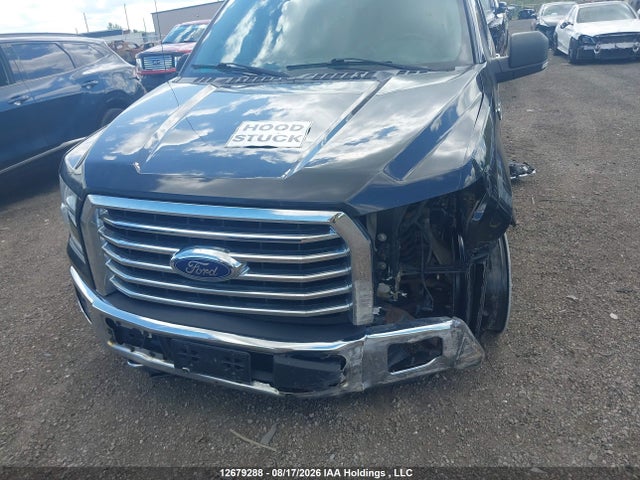 1FTEW1EPXFFB35542 Ford F-150 Xlt