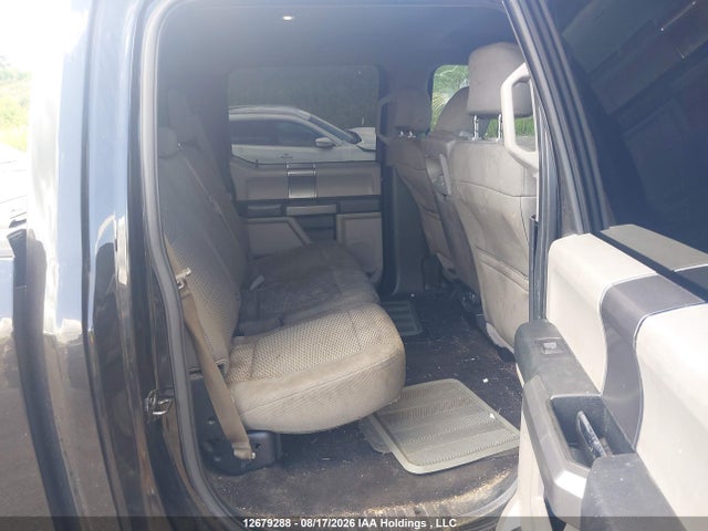 1FTEW1EPXFFB35542 Ford F-150 Xlt
