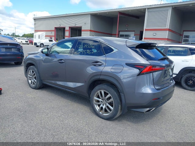 Продаж на аукціоні авто 2021 Lexus Nx 300 Base/300 Luxury/300 F Sport, vin: JTJAARDZ4M2245762, номер лоту: 12679336