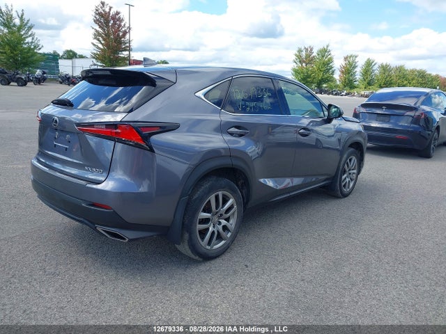 Продаж на аукціоні авто 2021 Lexus Nx 300 Base/300 Luxury/300 F Sport, vin: JTJAARDZ4M2245762, номер лоту: 12679336