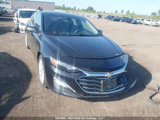 2019 Chevrolet Malibu მანქანა იყიდება აუქციონზე, vin: 1G1ZD5ST3KF104281, აუქციონის ნომერი: 12679450