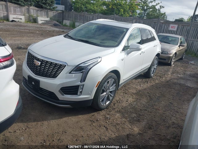 Продажа на аукционе авто 2024 Cadillac Xt5 Premium Luxury, vin: 1GYKNFRS1RZ703000, номер лота: 12679477