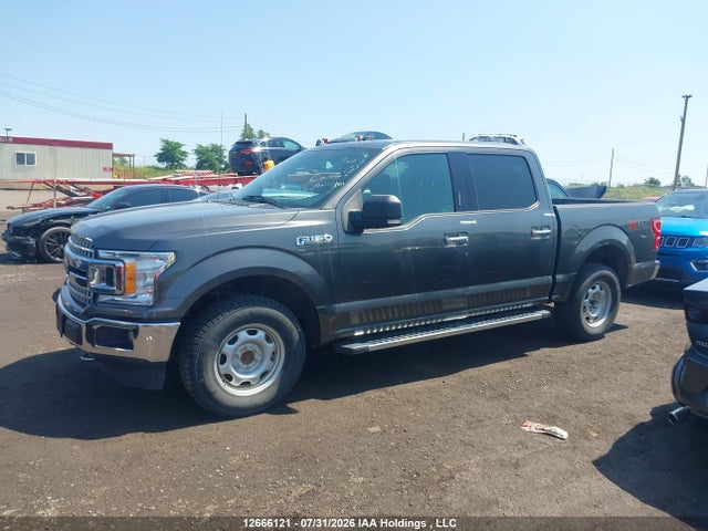 12666121 :رقم المزاد ، 1FTEW1EG5JFA09839 vin ، 2018 Ford F-150 Xlt مزاد بيع