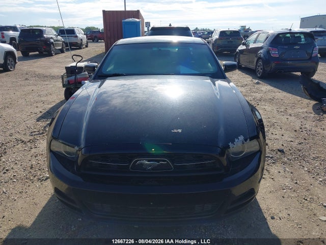 Продаж на аукціоні авто 2013 Ford Mustang, vin: 1ZVBP8AM1D5201660, номер лоту: 12667226