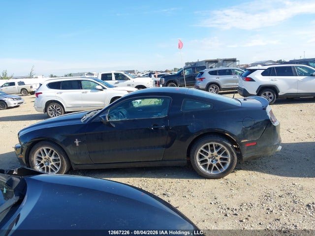 Продаж на аукціоні авто 2013 Ford Mustang, vin: 1ZVBP8AM1D5201660, номер лоту: 12667226