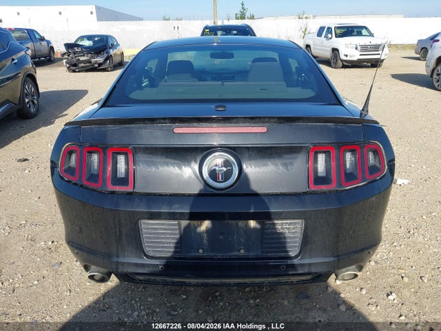 Продаж на аукціоні авто 2013 Ford Mustang, vin: 1ZVBP8AM1D5201660, номер лоту: 12667226