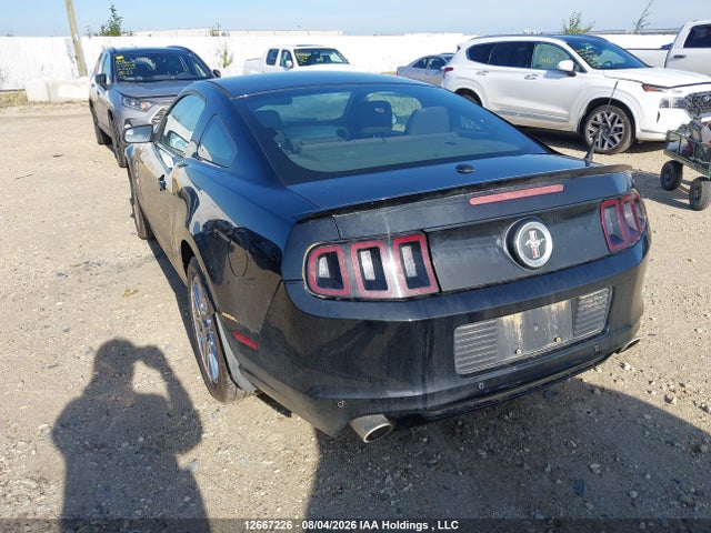 Продаж на аукціоні авто 2013 Ford Mustang, vin: 1ZVBP8AM1D5201660, номер лоту: 12667226