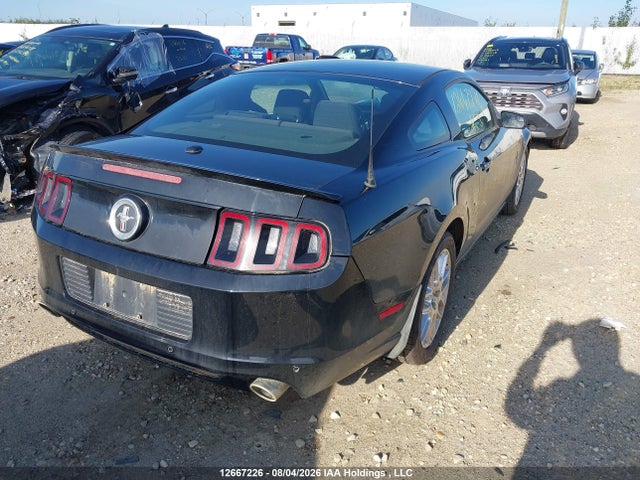 Продаж на аукціоні авто 2013 Ford Mustang, vin: 1ZVBP8AM1D5201660, номер лоту: 12667226