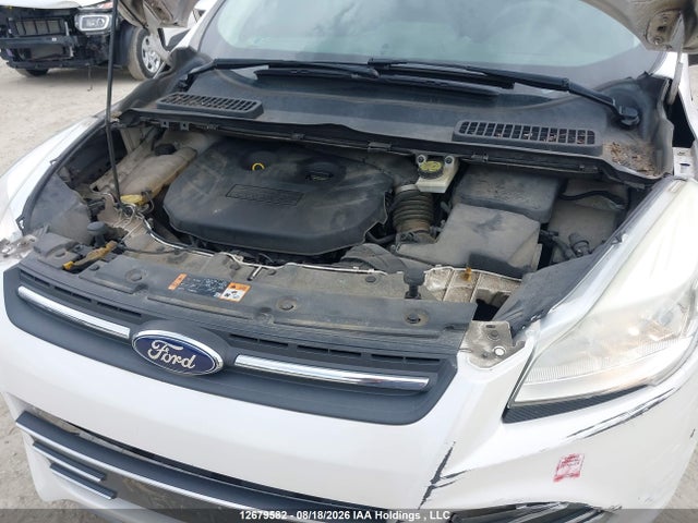 Ford ESCAPE SE 2014 1FMCU9G94EUC11823 Image 10