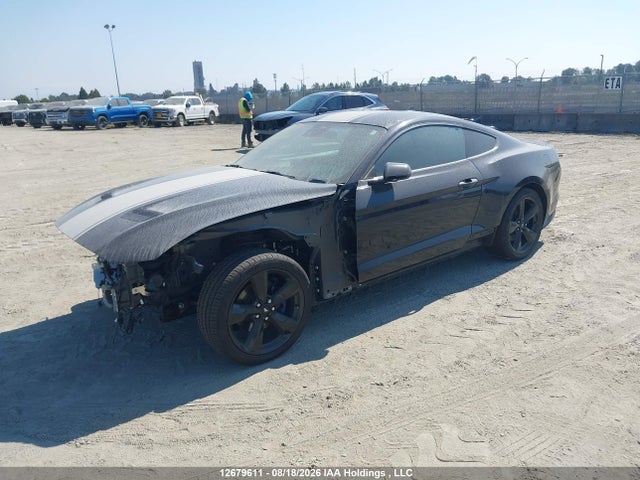 Ford Mustang 2021 1FA6P8TH0M5101706 Image 2