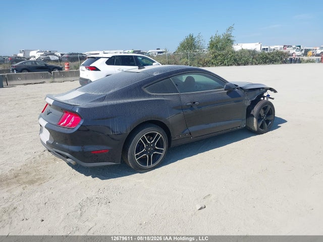 Ford Mustang 2021 1FA6P8TH0M5101706 Image 4