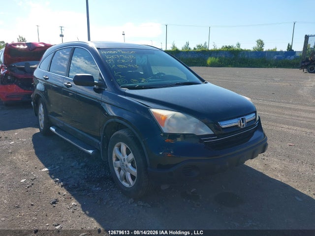 Продаж на аукціоні авто 2009 Honda Cr-v Ex, vin: 5J6RE38519L800743, номер лоту: 12679613