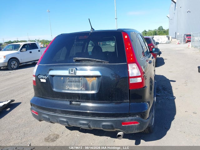 Продаж на аукціоні авто 2009 Honda Cr-v Ex, vin: 5J6RE38519L800743, номер лоту: 12679613