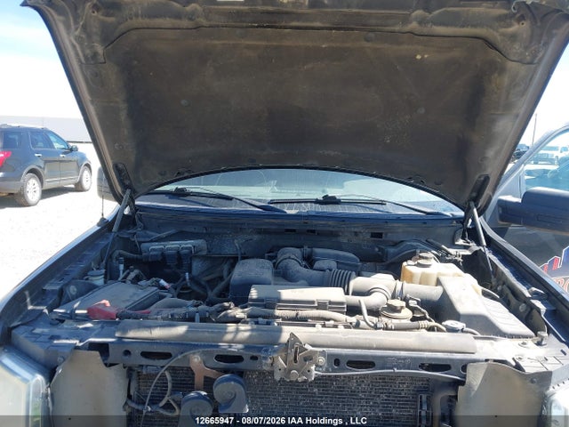 12665947 :رقم المزاد ، 1FTFX1EV5AFB50409 vin ، 2010 Ford F-150 Fx4/lariat/svt Raptor/xl/xl W/midbox Prep/xlt/xlt W/midbox Prep مزاد بيع