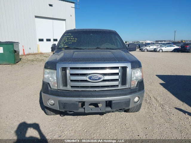 12665947 :رقم المزاد ، 1FTFX1EV5AFB50409 vin ، 2010 Ford F-150 Fx4/lariat/svt Raptor/xl/xl W/midbox Prep/xlt/xlt W/midbox Prep مزاد بيع