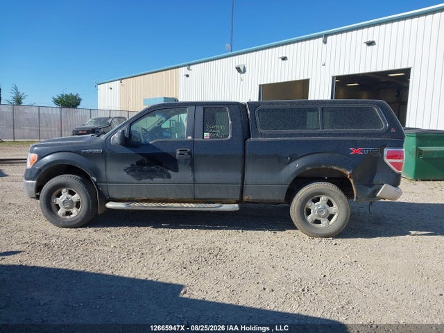 12665947 :رقم المزاد ، 1FTFX1EV5AFB50409 vin ، 2010 Ford F-150 Fx4/lariat/svt Raptor/xl/xl W/midbox Prep/xlt/xlt W/midbox Prep مزاد بيع