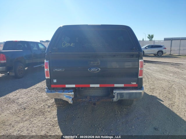 12665947 :رقم المزاد ، 1FTFX1EV5AFB50409 vin ، 2010 Ford F-150 Fx4/lariat/svt Raptor/xl/xl W/midbox Prep/xlt/xlt W/midbox Prep مزاد بيع