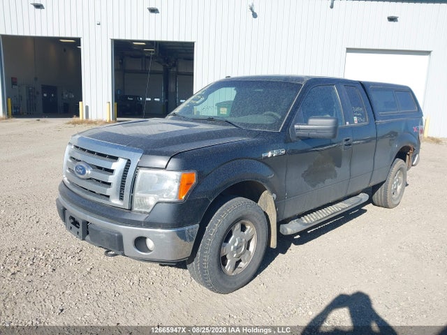 12665947 :رقم المزاد ، 1FTFX1EV5AFB50409 vin ، 2010 Ford F-150 Fx4/lariat/svt Raptor/xl/xl W/midbox Prep/xlt/xlt W/midbox Prep مزاد بيع