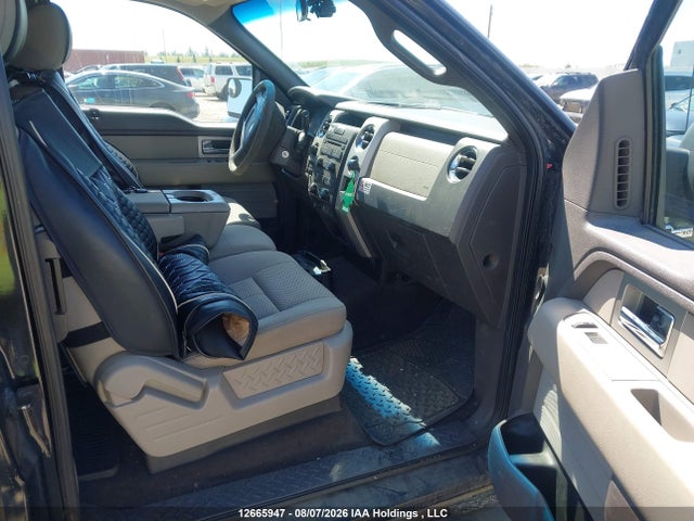 12665947 :رقم المزاد ، 1FTFX1EV5AFB50409 vin ، 2010 Ford F-150 Fx4/lariat/svt Raptor/xl/xl W/midbox Prep/xlt/xlt W/midbox Prep مزاد بيع