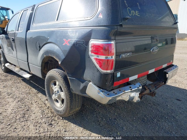 12665947 :رقم المزاد ، 1FTFX1EV5AFB50409 vin ، 2010 Ford F-150 Fx4/lariat/svt Raptor/xl/xl W/midbox Prep/xlt/xlt W/midbox Prep مزاد بيع