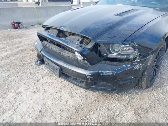 Продаж на аукціоні авто 2014 Ford Mustang Gt, vin: 1ZVBP8FF1E5314357, номер лоту: 12679655