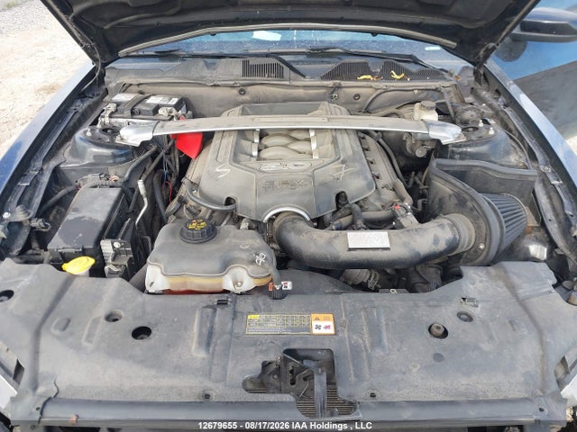 Продаж на аукціоні авто 2014 Ford Mustang Gt, vin: 1ZVBP8FF1E5314357, номер лоту: 12679655