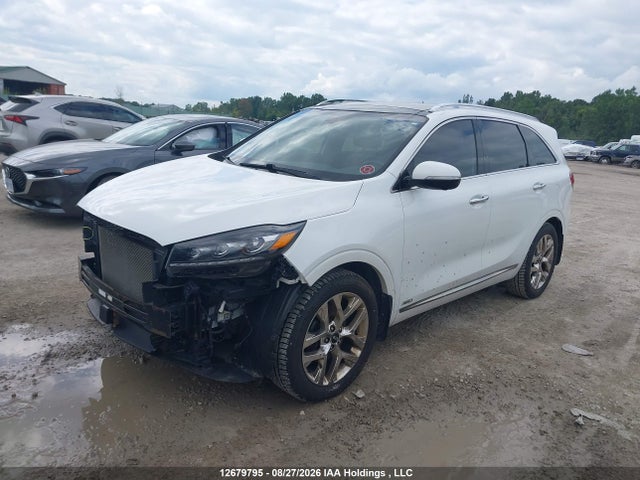 Продажа на аукционе авто 2019 Kia Sorento 3.3l Sx/3.3l Sxl, vin: 5XYPKDA55KG493391, номер лота: 12679795