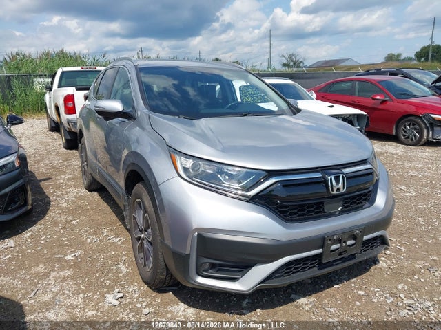 12679843 :رقم المزاد ، 2HKRW2H80LH240734 vin ، 2020 Honda Cr-v Exl مزاد بيع