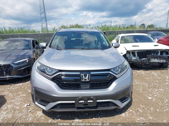 Auction sale of the 2020 Honda Cr-v Exl, vin: 2HKRW2H80LH240734, lot number: 12679843