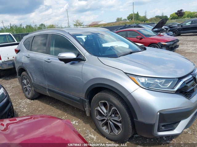 Auction sale of the 2020 Honda Cr-v Exl, vin: 2HKRW2H80LH240734, lot number: 12679843