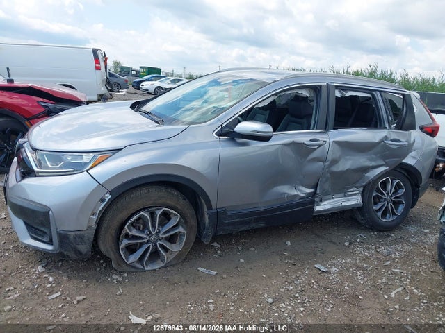Auction sale of the 2020 Honda Cr-v Exl, vin: 2HKRW2H80LH240734, lot number: 12679843