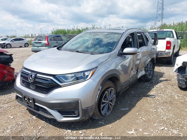 Auction sale of the 2020 Honda Cr-v Exl, vin: 2HKRW2H80LH240734, lot number: 12679843