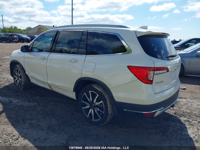 Honda Pilot 2019 5FNYF6H91KB507615 Image 3
