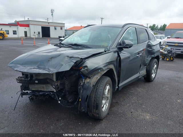 KM8JBCAE3NU019227 Hyundai Tucson Preferred Awd