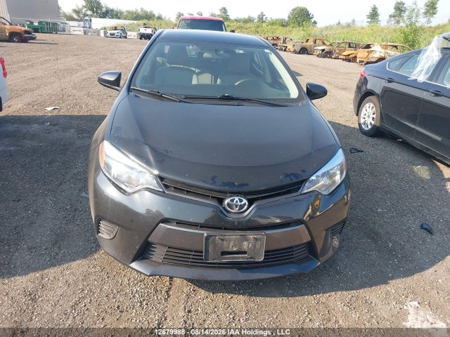 12679988 :رقم المزاد ، 2T1BURHEXGC501348 vin ، 2016 Toyota Corolla L/le/le Pls/prm/s/s Pls مزاد بيع