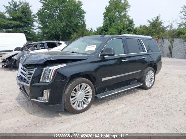 Cadillac Escalade 2015 1GYS4PKJ0FR743462 Image 3