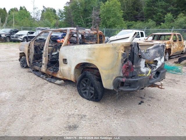 3GCPYFED9NG154425 Chevrolet Silverado 1500 Ltd Lt Trail Boss