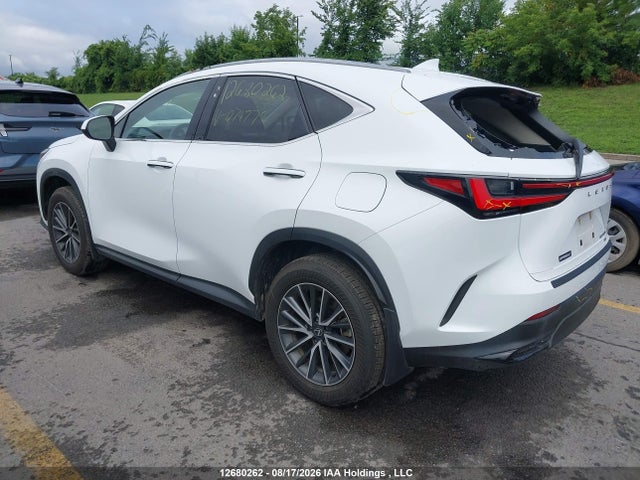 Lexus Nx 450h+ 2026 JTJHKCFZ8T2074776 Image 3