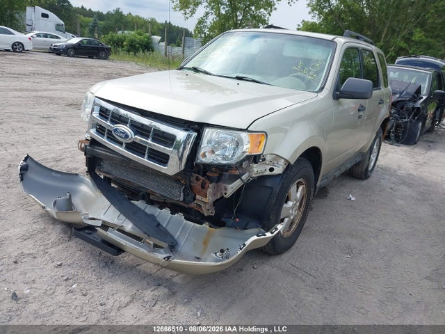 Aukcja sprzedaży 2010 Ford Escape Xlt Automatic, vin: 1FMCU9DG9AKB08891, numer aukcji: 12666510