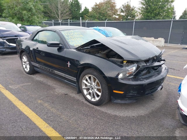12665801 :رقم المزاد ، 1ZVBP8EM7B5129564 vin ، 2011 Ford Mustang Convertible مزاد بيع