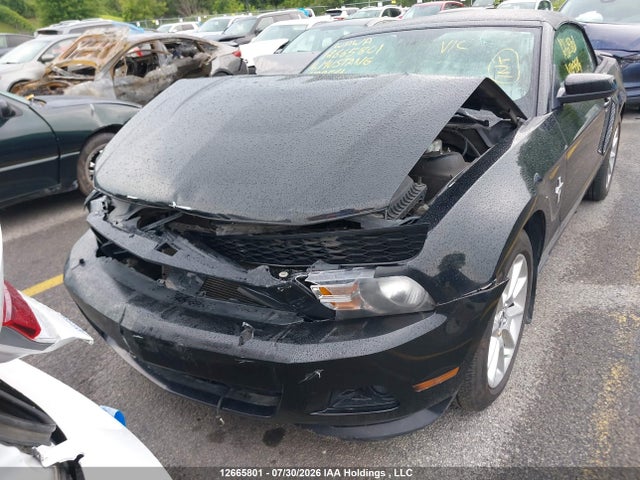 12665801 :رقم المزاد ، 1ZVBP8EM7B5129564 vin ، 2011 Ford Mustang Convertible مزاد بيع