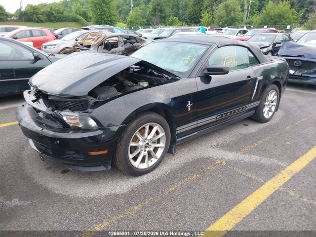 12665801 :رقم المزاد ، 1ZVBP8EM7B5129564 vin ، 2011 Ford Mustang Convertible مزاد بيع