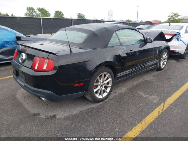 12665801 :رقم المزاد ، 1ZVBP8EM7B5129564 vin ، 2011 Ford Mustang Convertible مزاد بيع