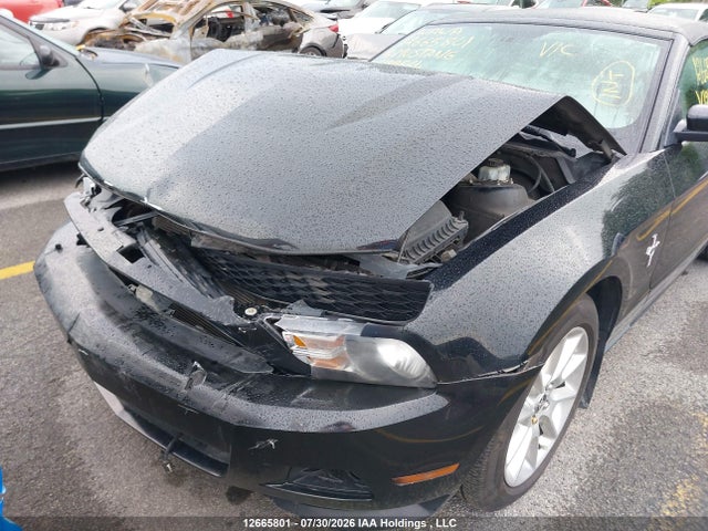 12665801 :رقم المزاد ، 1ZVBP8EM7B5129564 vin ، 2011 Ford Mustang Convertible مزاد بيع