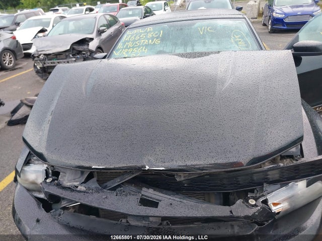 12665801 :رقم المزاد ، 1ZVBP8EM7B5129564 vin ، 2011 Ford Mustang Convertible مزاد بيع