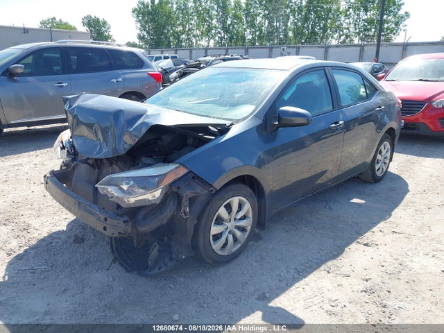 Продаж на аукціоні авто 2016 Toyota Corolla Le, vin: 2T1BURHE7GC734829, номер лоту: 12680674
