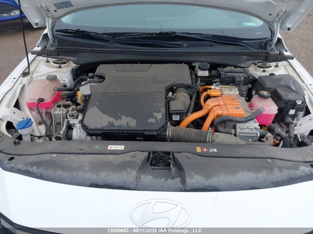 2024 Hyundai Elantra Hybrid Luxury მანქანა იყიდება აუქციონზე, vin: KMHLN4DJ1RU113112, აუქციონის ნომერი: 12680683