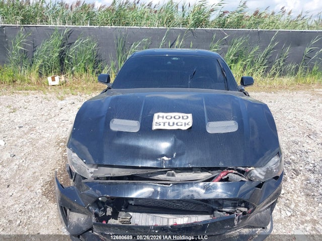 1FA6P8CF1P5303022 Ford Mustang Gt Premium