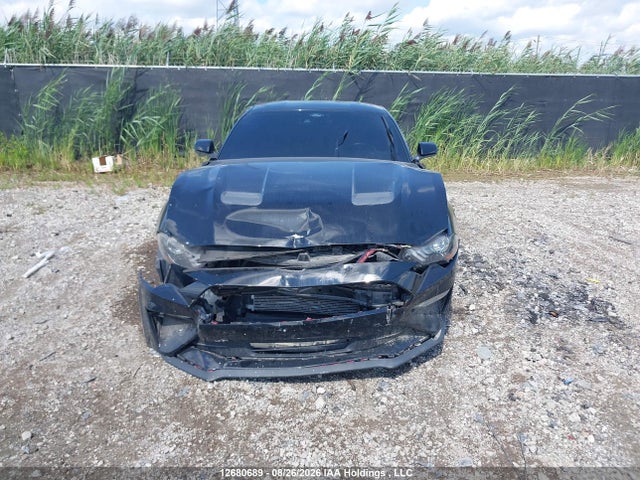1FA6P8CF1P5303022 Ford Mustang Gt Premium